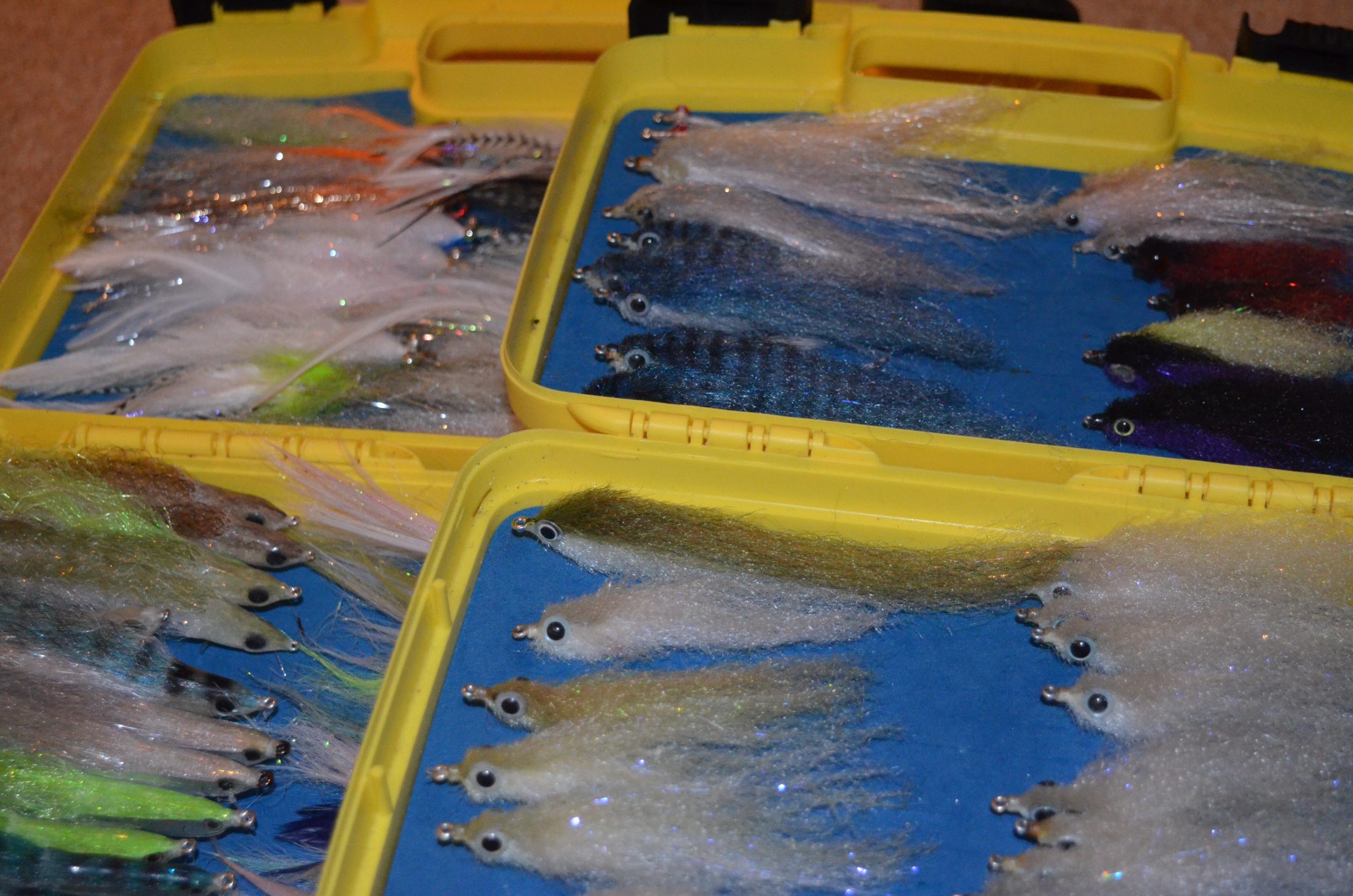 Uk Saltwater Fly Fishing Uncovered Loop Tackle