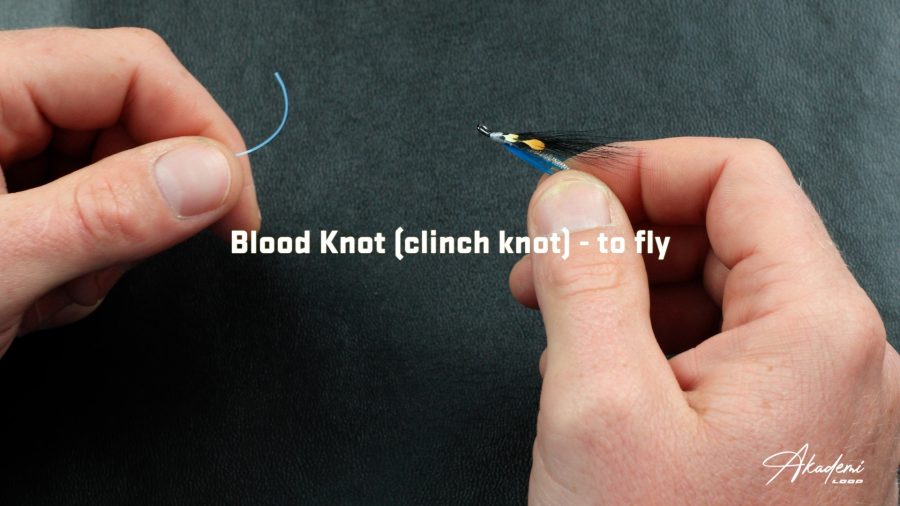How to Tie the Blood Knot Video Tutorial