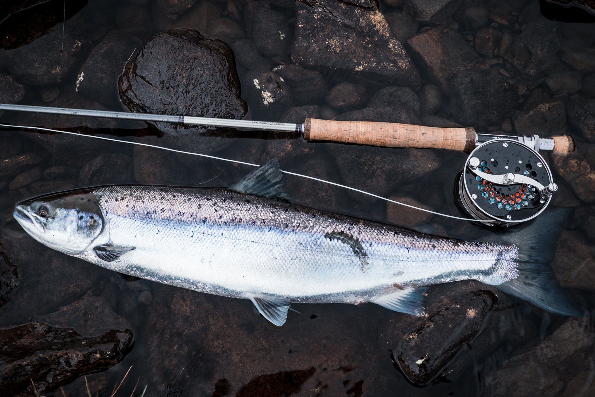 Best Fly Fishing in Scotland Loop Tackle