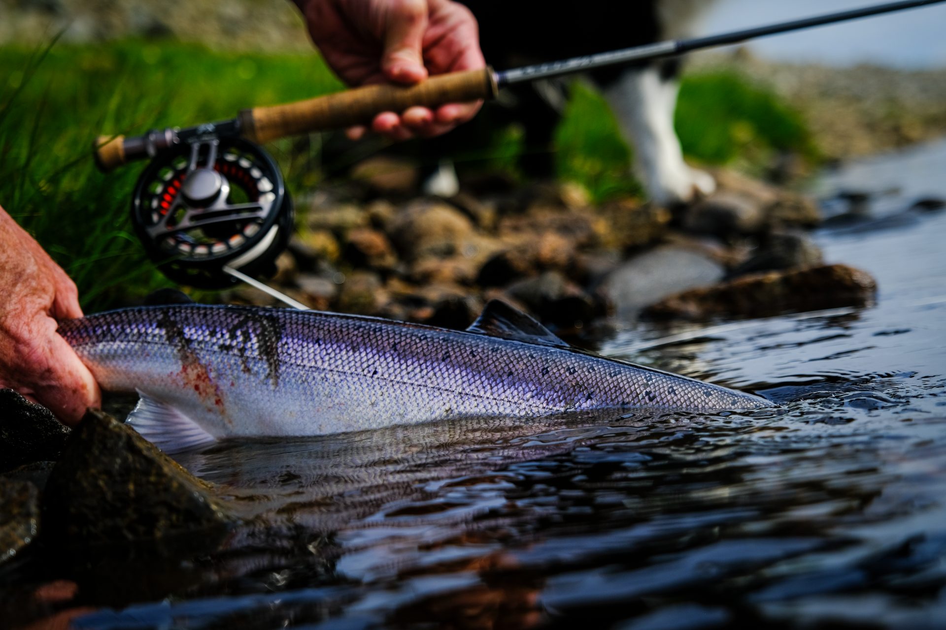 The Best Fly Fishing Destinations in Argentina Loop Tackle